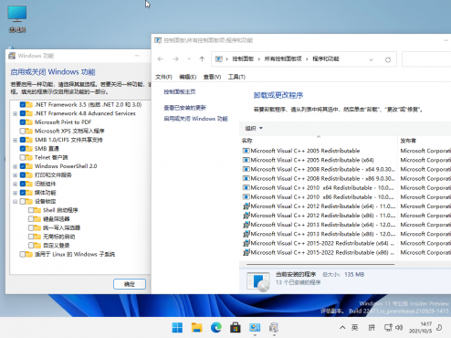 小修Windows11 22000.2960专业版